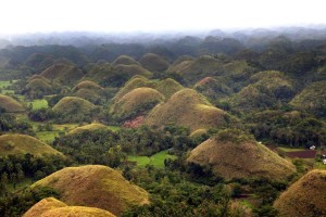 Chocolate Hills Tour